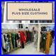 100-Items-New-Wholesale-Job-Lot-Bundle-Plus-Size-Branded-Size-16-32-Clothing-01-sdn